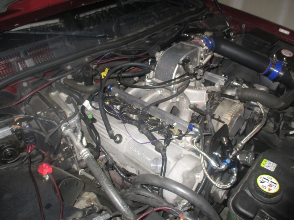 Engine bay with custom intake and fuel rails. Looks like a V8