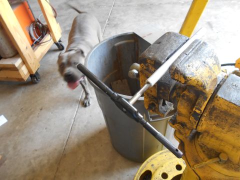 1992 Ford Bronco - A dog stands near a trash can and a vise with a tool. The image contains text from Supermotors.net.