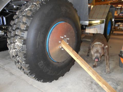 1992 Ford Bronco - A large tire is secured with a wooden brace, while a dog stands nearby in a workshop setting.
