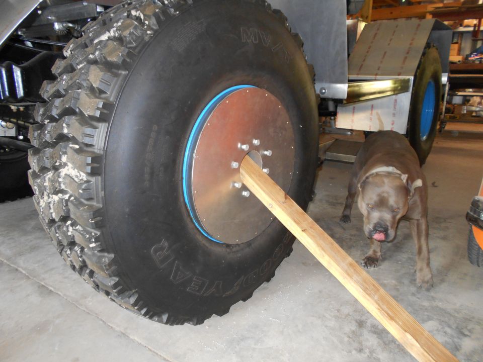 Oversized tire with a wooden brace and a dog in the background