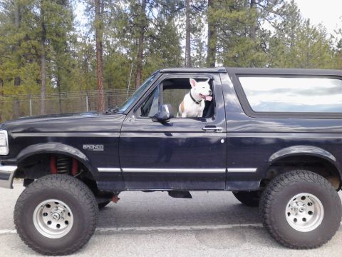 1995 Ford Bronco