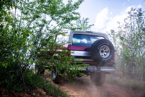 1995 Ford Bronco - A Ford Bronco navigates a dusty trail surrounded by trees.