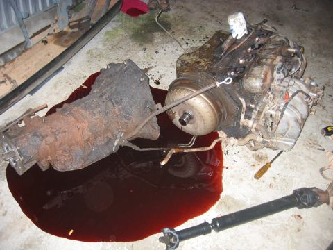 1989 Ford Bronco - Its dead....