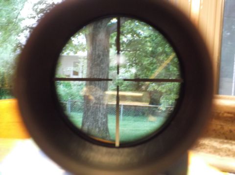 1995 Mercury Grand Marquis - The image shows a backyard scene viewed through the crosshairs of a rifle scope.