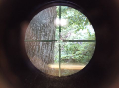 1995 Mercury Grand Marquis - A view through a scope reveals a natural scene with a tree and dense foliage, obscuring any potential vehicle.