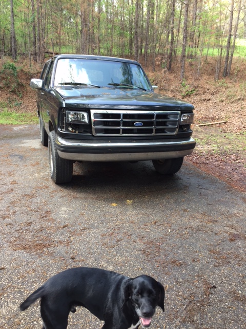 1996 Ford Bronco photo