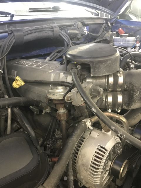 1996 Ford Bronco - Close-up of the engine bay in a 1996 Ford Bronco, highlighting the alternator and intake system.