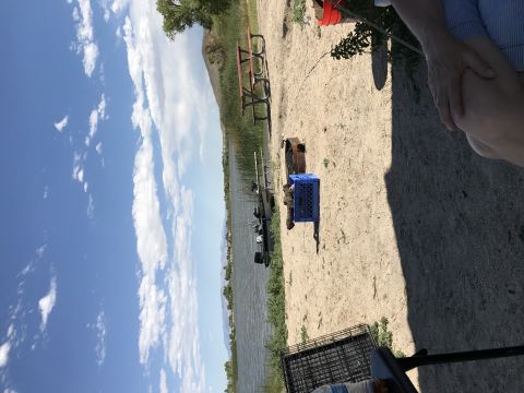 1997 Dodge 3500 - A scenic view of a lake and campsite, perfect for a fishing trip.