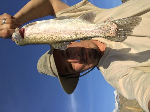 1997 Dodge 3500 - A person holds up a freshly caught fish against a bright blue sky. The fish is silvery with dark spots and appears to be a trout.