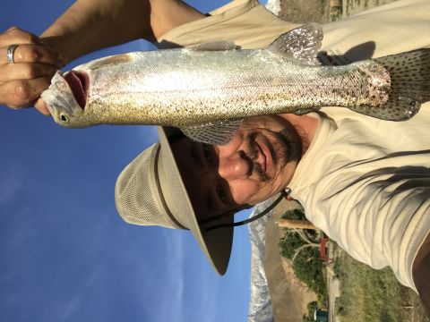 1997 Dodge 3500 - A man holds up a freshly caught trout for a selfie. The man is wearing a hat and a light-colored shirt, with a clear blue sky and mountains…