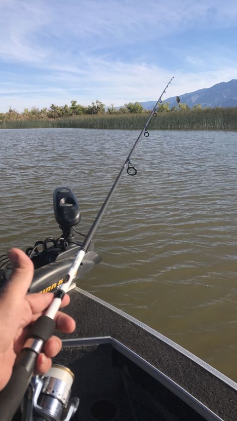 1997 Dodge 3500 - A person is holding a fishing rod on a boat with a trolling motor attached.