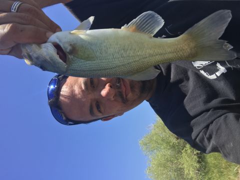 1997 Dodge 3500 - A man holds up a freshly caught fish in front of a clear blue sky.