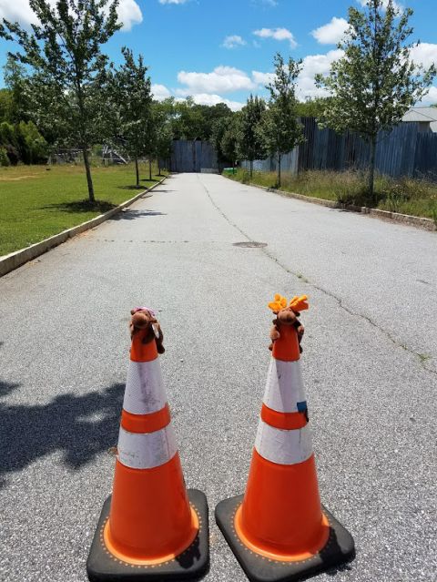 1978 Ford Bronco - Two traffic cones, each adorned with a small stuffed animal, stand on an empty asphalt road under a partly cloudy sky.