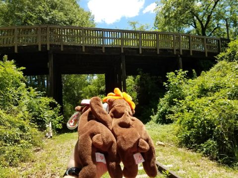 1978 Ford Bronco - Stuffed moose toys are held up in front of a wooden bridge surrounded by trees and greenery.