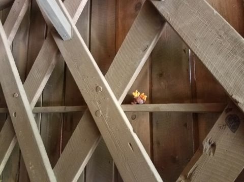 1978 Ford Bronco - A small toy animal sits on a shelf within a wooden structure, with a Supermotors watermark visible.