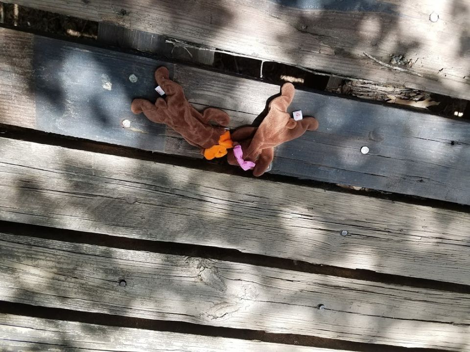 Two brown stuffed animal legs with orange and pink accents lie on weathered wooden planks