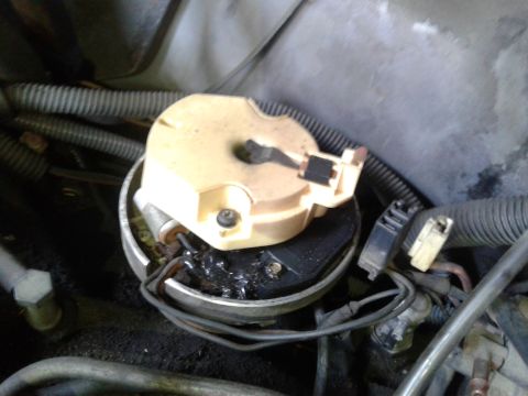 1984 Buick Electra - Close-up of a vehicle's ignition distributor cap and rotor assembly, showing some wear and grease.