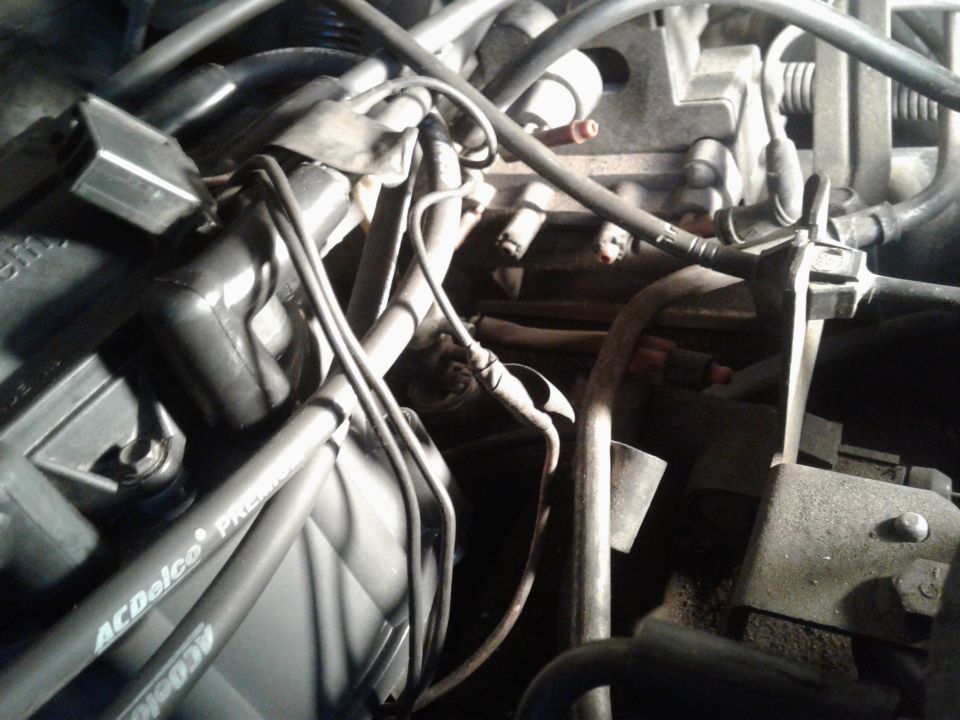 Engine bay with AC Delco spark plug wires and distributor cap