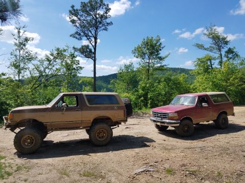 1988 Ford Bronco - Two Ford Broncos are parked on a dirt path with a wooded hillside and blue sky in the background. The Bronco on the left is brown and appea…