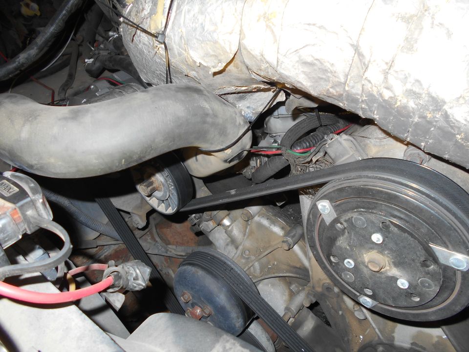 Close-up of 1992 Ford Bronco engine bay showing serpentine belt, pulleys, and hose.
