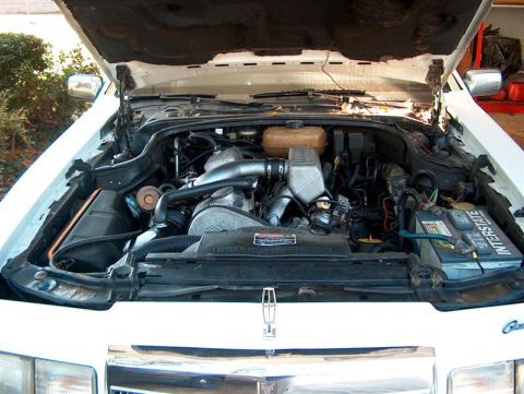 2001 Ford Crown Victoria - Engine bay of a white vehicle with the hood open, showing the engine and battery.
