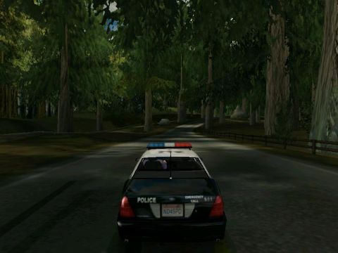 2001 Ford Crown Victoria - A police car drives down a road surrounded by trees.