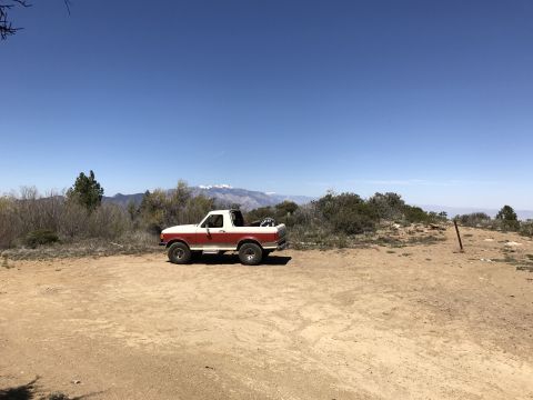 1987 Ford Bronco photo