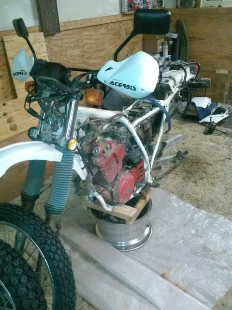 1987 Honda XL600R