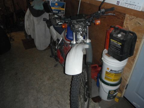 1987 Honda XL600R