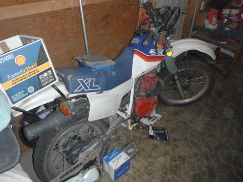 1987 Honda XL600R