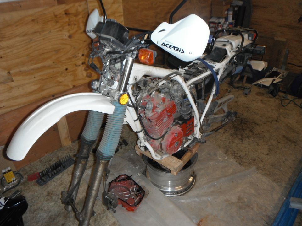 White Honda dual-sport bike on blocks during teardown, wheels removed, red engine exposed, Acerbis handguards visible
