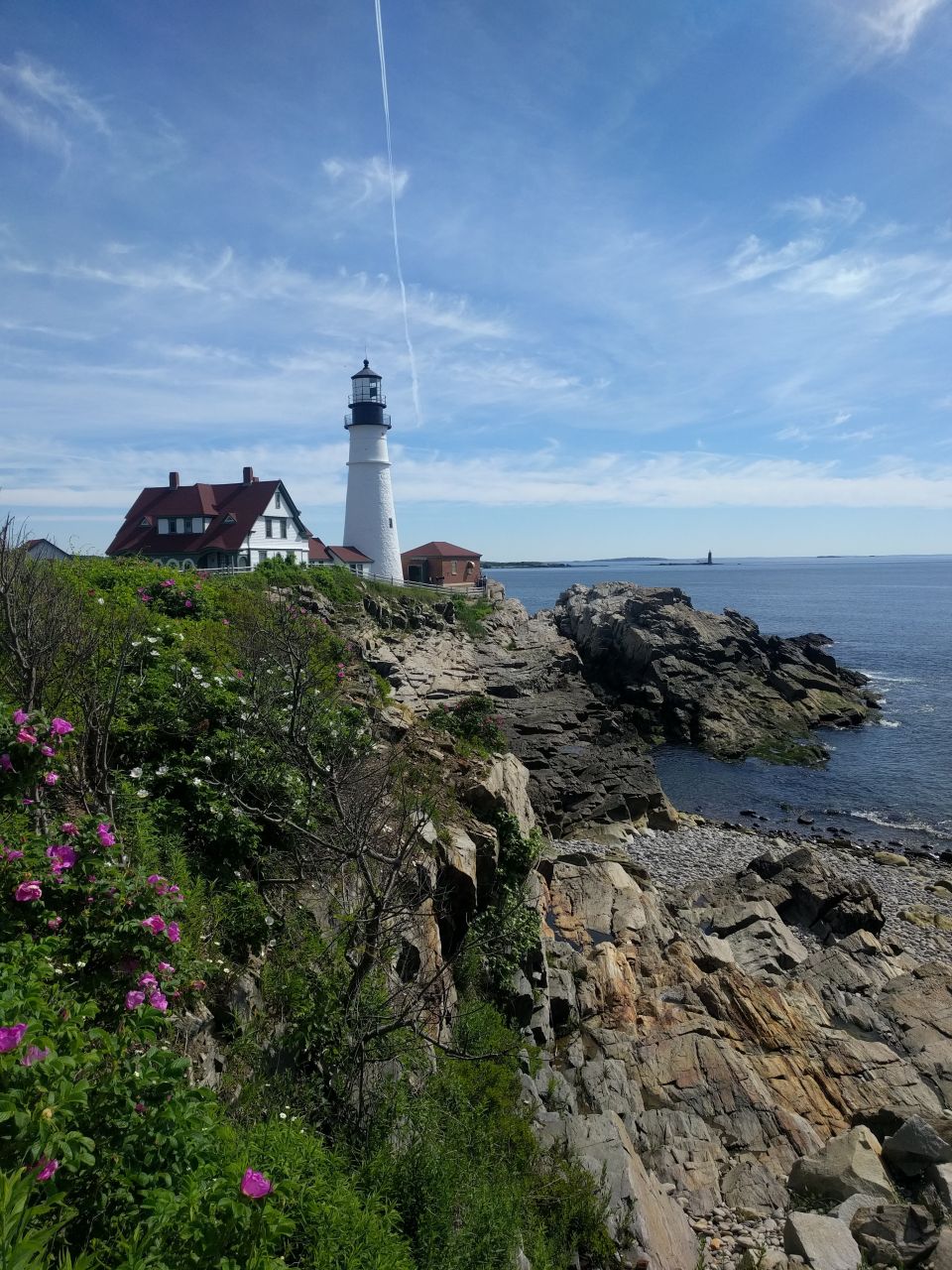 Portland Head Light lighthouse on a rocky coast with flowers and the ocean.