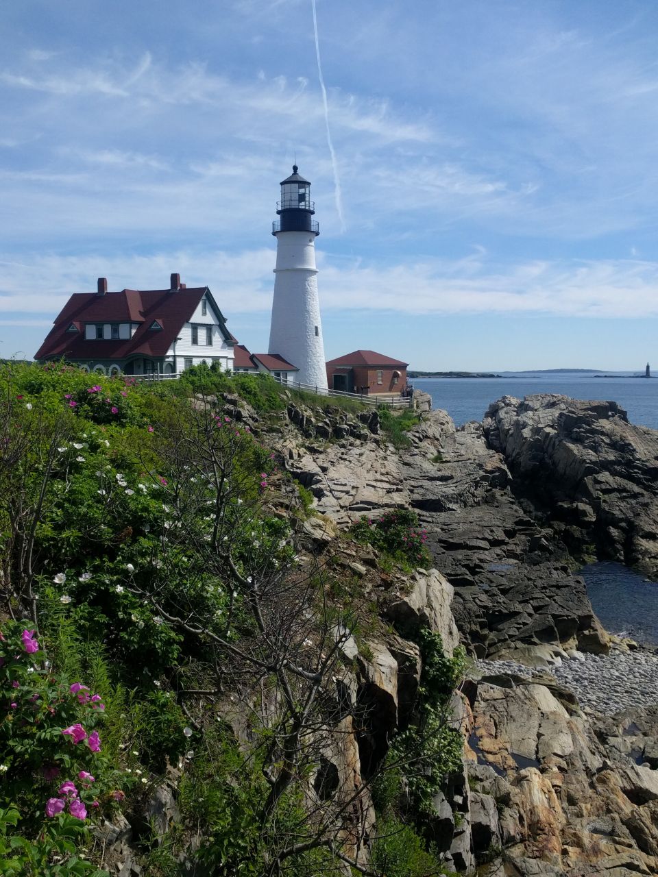 White lighthouse on a rocky coast with buildings and flowers.