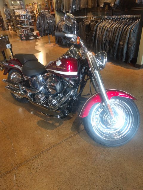 2014 Harley-Davidson FXDWGI Wide Glide