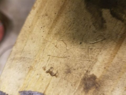 1996 Ford Bronco - A detailed view of a weathered wooden surface, showing grain and scattered specks.
