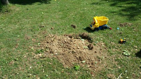 2007 Subaru Impreza - A pile of dirt sits on a grassy lawn next to two toy trucks.