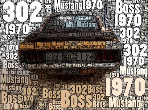 1973 Ford Mustang - This image is a collage of text forming the shape of a car's rear end, primarily the words '1970', 'Mustang', and 'Boss 302'.