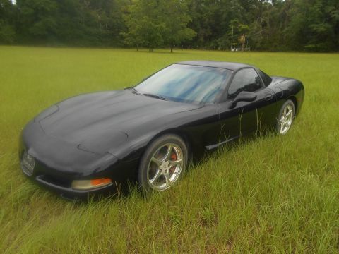 1992 Ford Bronco - A black Chevrolet Corvette C5 sits in a field of tall grass with trees in the background.
