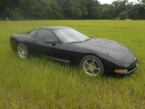 1992 Ford Bronco - A black Chevrolet Corvette C5 sits in a field of tall grass, its lines visible against a backdrop of trees.