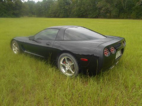 1992 Ford Bronco - This black Chevrolet Corvette C5 is parked in a field of tall grass.