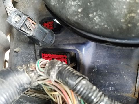 1994 Ford Bronco - Close-up view of engine wiring harness connectors, one with a black housing and another with a red plastic housing.