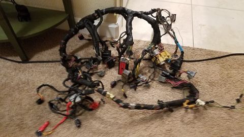 1994 Ford Bronco - A complex automotive wiring harness is laid out on a carpeted surface.