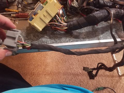 1994 Ford Bronco - Photograph of an automotive wiring harness with fuse box and connector laid out on a table, not a document.