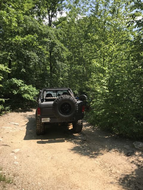 1989 Ford Bronco - A black Ford Bronco is parked on a dirt path surrounded by dense green trees.