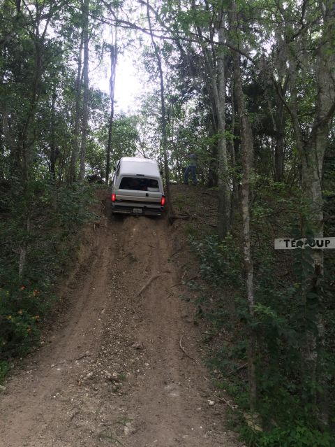 1989 Ford Bronco - A white SUV navigates a challenging dirt incline surrounded by dense trees.
