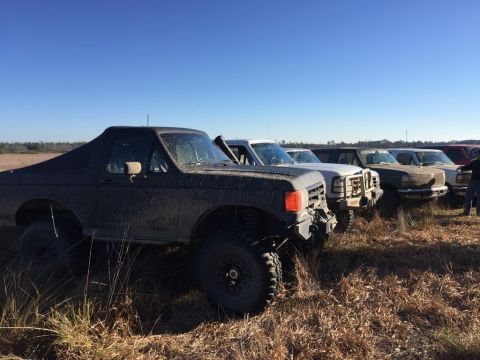1989 Ford Bronco - Multiple trucks parked in a field under a clear blue sky.