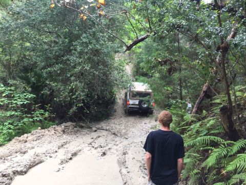 1989 Ford Bronco - Off-road vehicle on a muddy trail surrounded by dense forest vegetation.