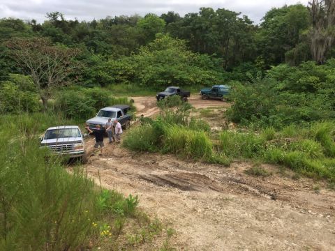 1989 Ford Bronco - Several trucks and an SUV navigate a muddy off-road trail surrounded by lush greenery.