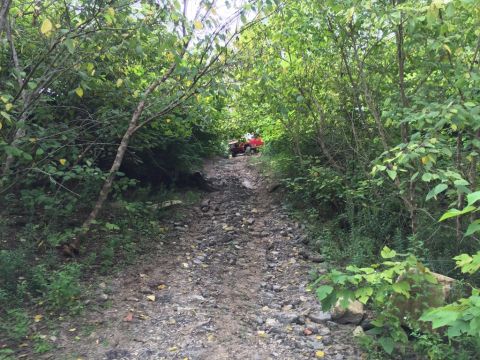 1989 Ford Bronco - A red SUV navigates a challenging, overgrown path.