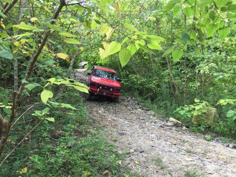 1989 Ford Bronco - A red 1989 Ford Bronco navigates a challenging rocky path surrounded by dense green foliage.